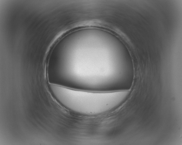 X0000068261224200604210906