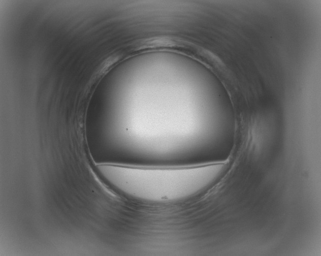 X0000068261225200604210906