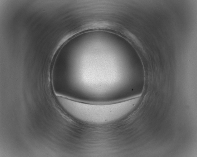 X0000068261226200604210906