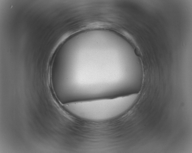 X0000068261227200604210906