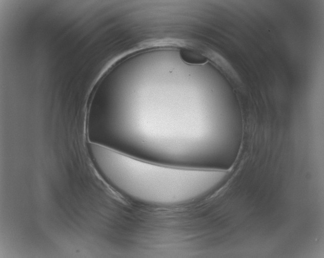 X0000068261228200604210906