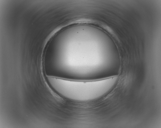 X0000068261229200604210906