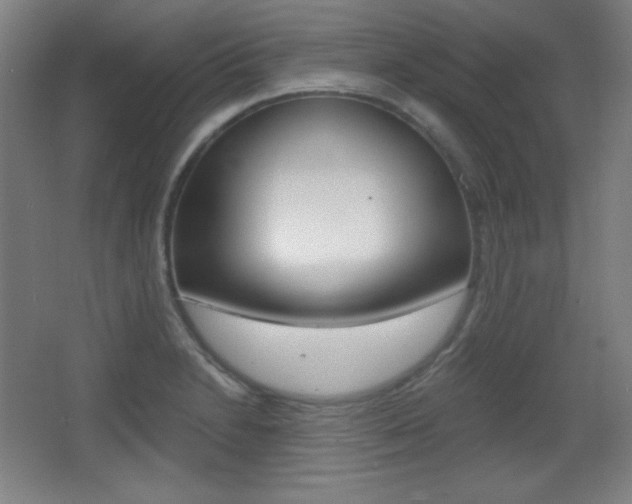 X0000068261230200604210906