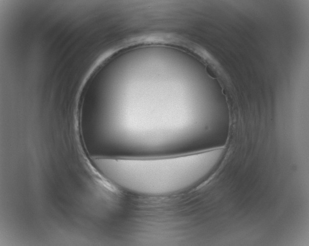 X0000068261232200604210906