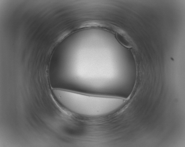 X0000068261233200604210906