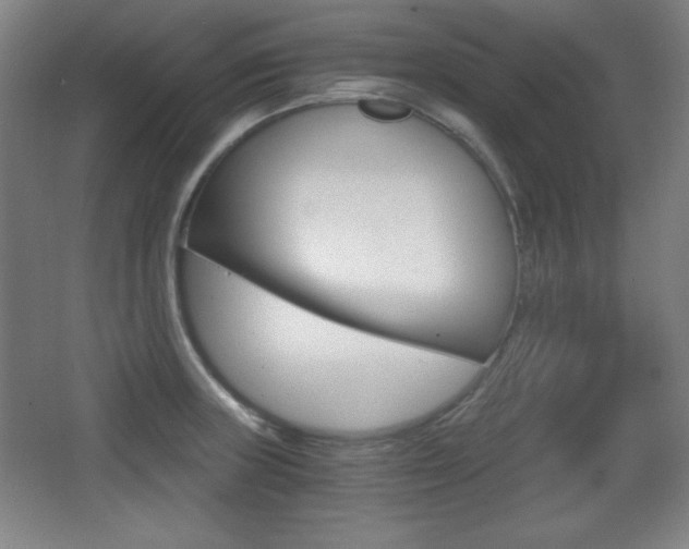 X0000068261235200604210906