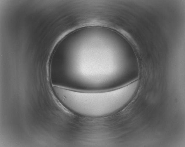 X0000068261238200604210906