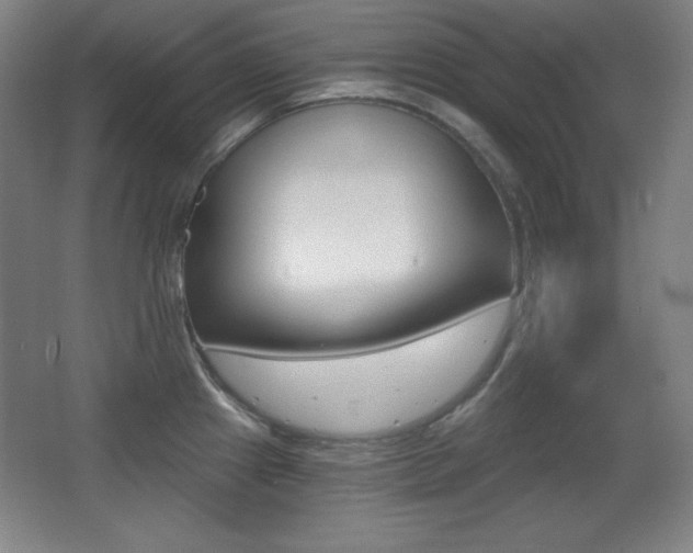 X0000068261241200604210906