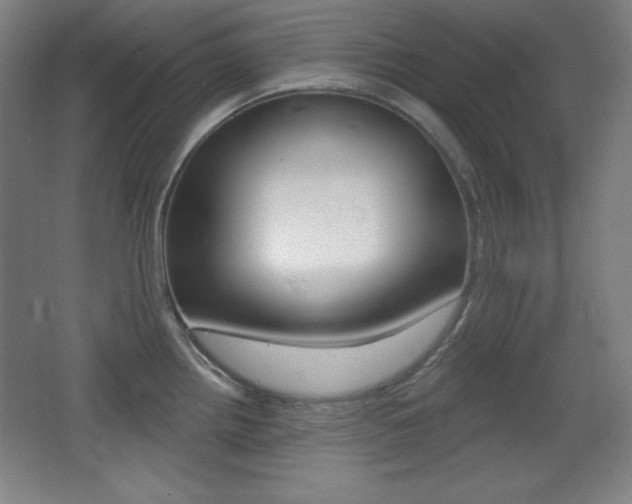 X0000068261242200604210906