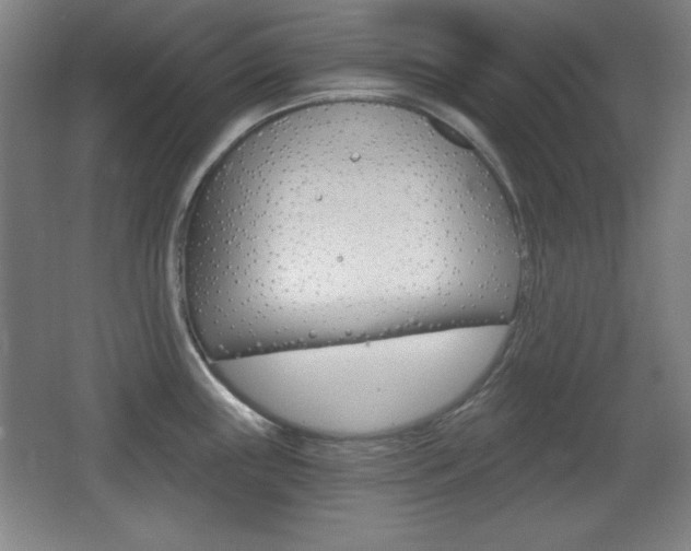 X0000068261243200604210906