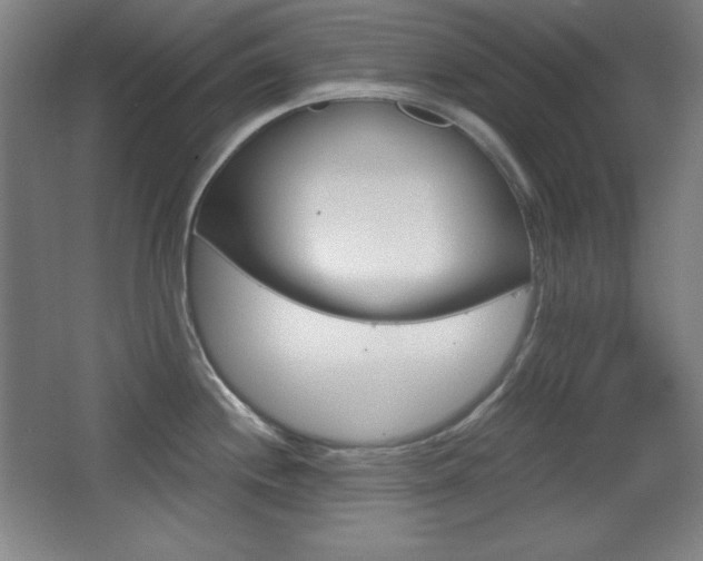 X0000068261244200604210906