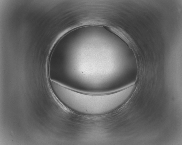 X0000068261246200604210906