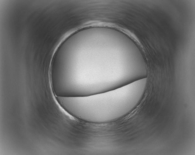 X0000068261247200604210906
