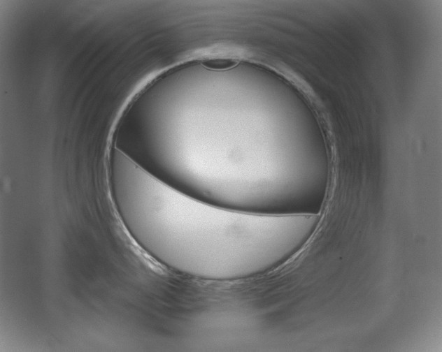 X0000068261248200604210906