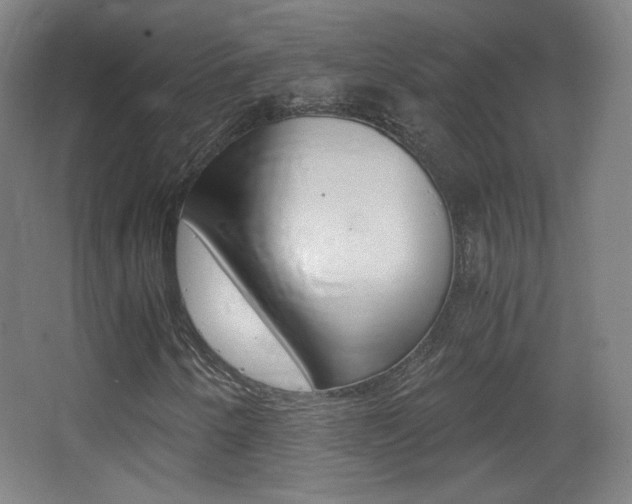 X0000068261250200604210905