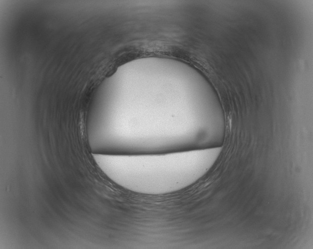 X0000068261251200604210905