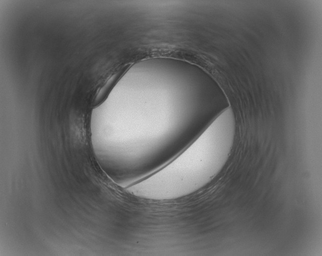 X0000068261252200604210905
