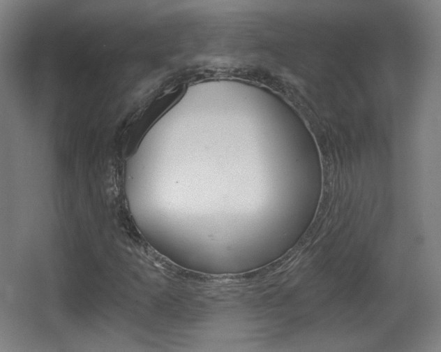 X0000068261253200604210905