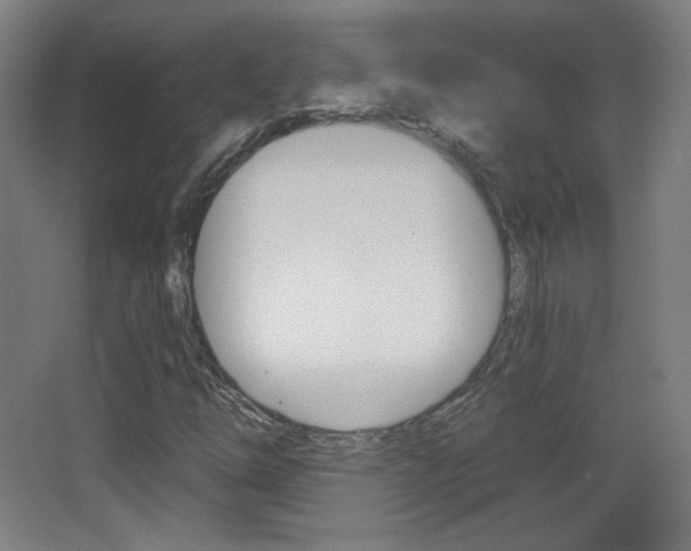 X0000068261254200604210905