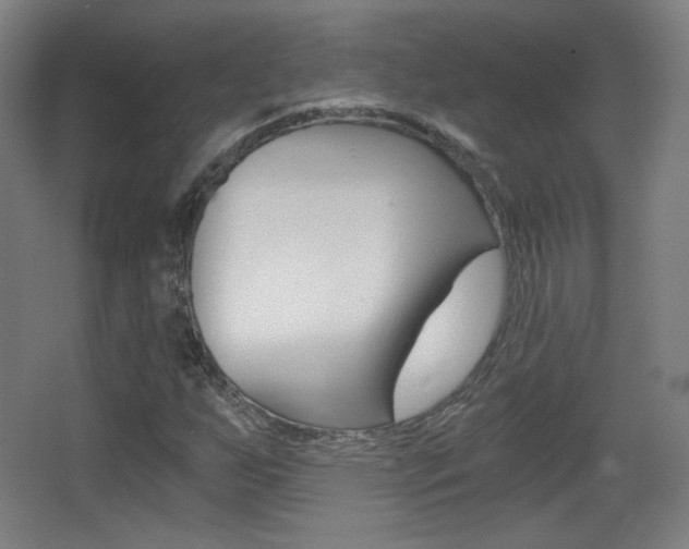 X0000068261255200604210905