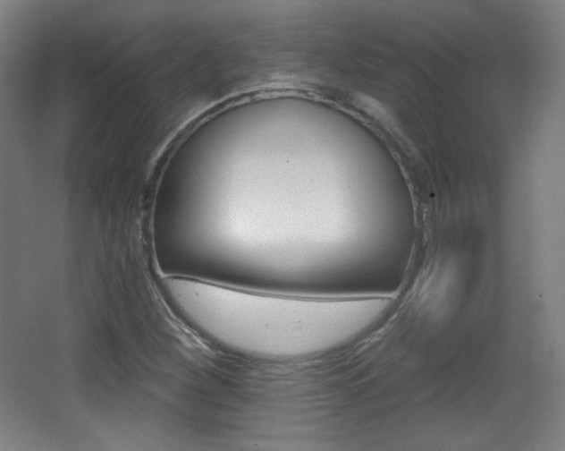 X0000068261260200604210905