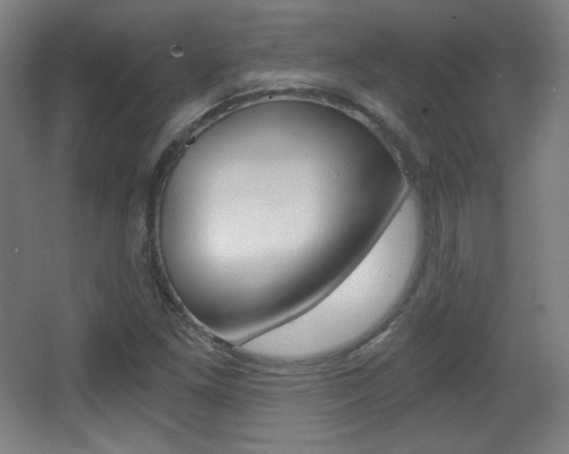X0000068261261200604210905