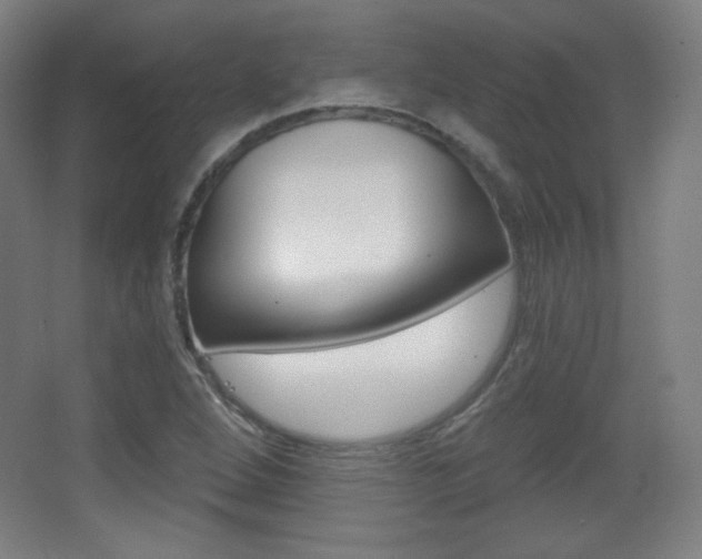 X0000068261264200604210905