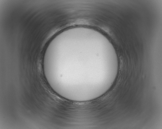 X0000068261266200604210905