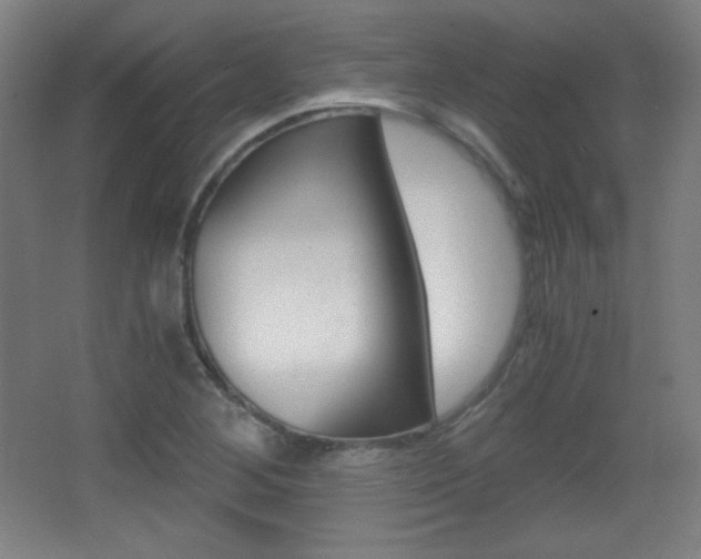 X0000068261268200604210905
