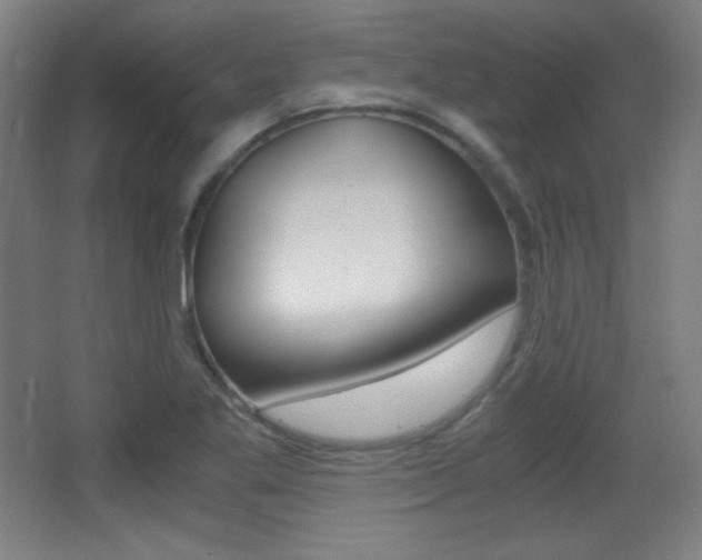 X0000068261269200604210905