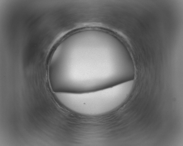 X0000068261271200604210905
