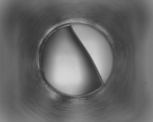 X0000068261272200604210905