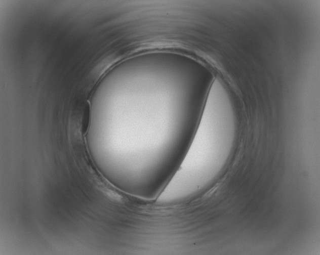 X0000068261273200604210905