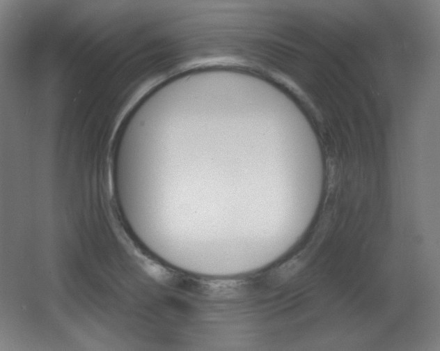 X0000068261274200604210905