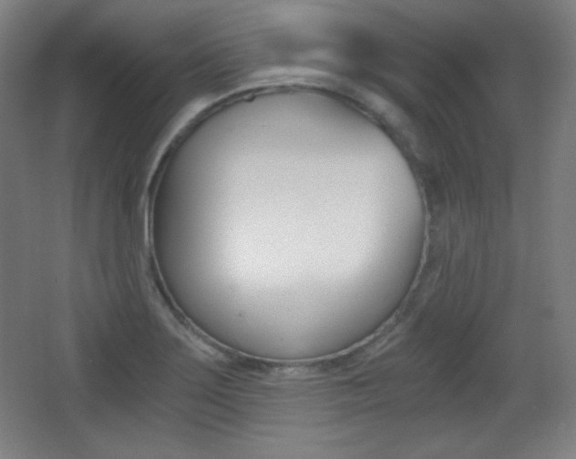 X0000068261275200604210905