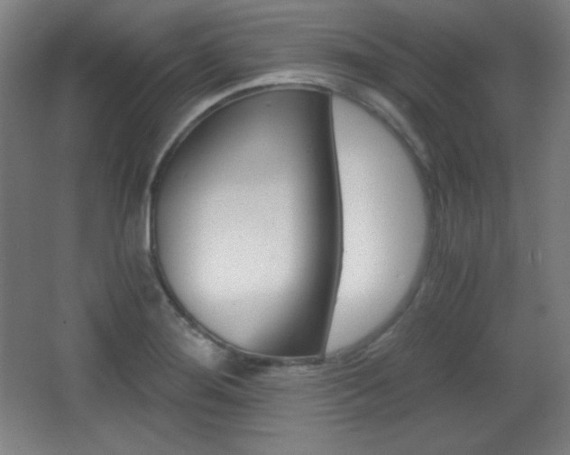 X0000068261276200604210905