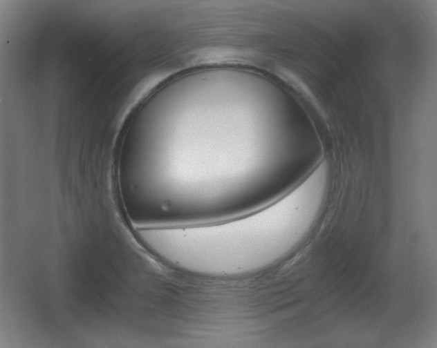 X0000068261277200604210905