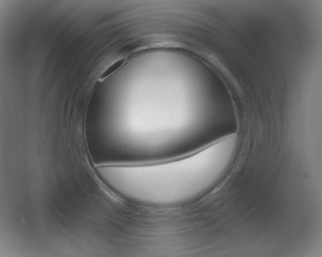 X0000068261281200604210905