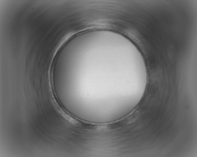 X0000068261283200604210905
