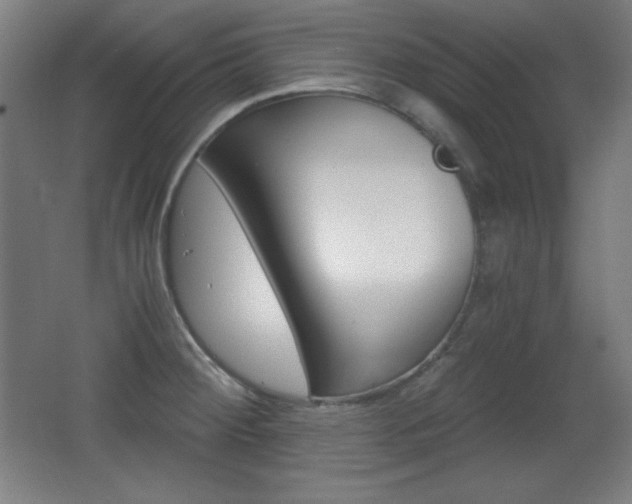 X0000068261284200604210905