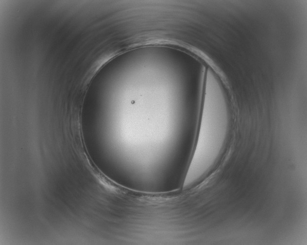 X0000068261289200604210905