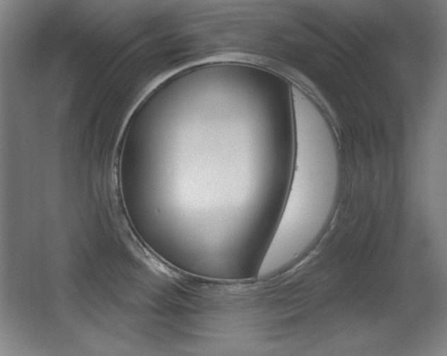 X0000068261292200604210905