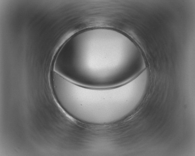 X0000068261293200604210904