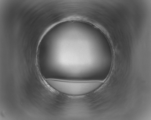 X0000068261296200604210904