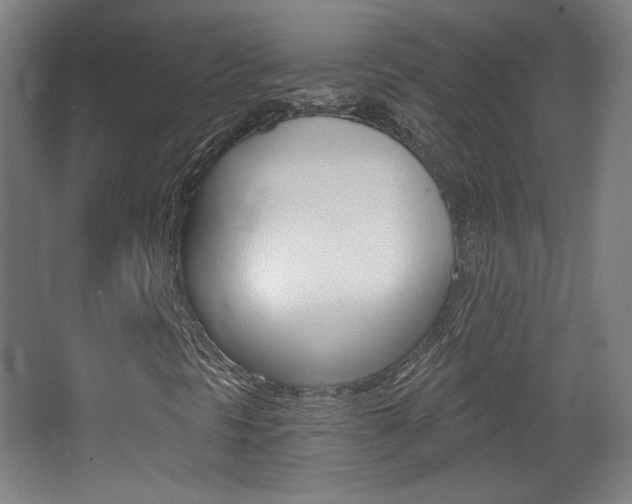X0000068261297200604210904
