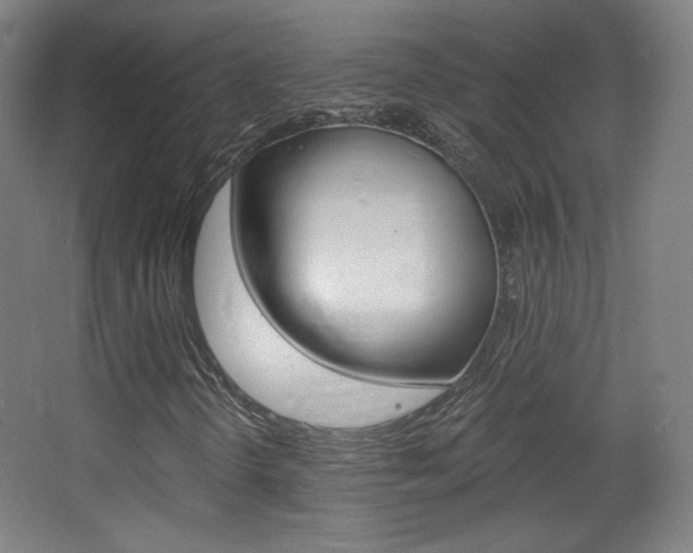 X0000068261298200604210904