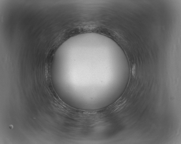 X0000068261299200604210904