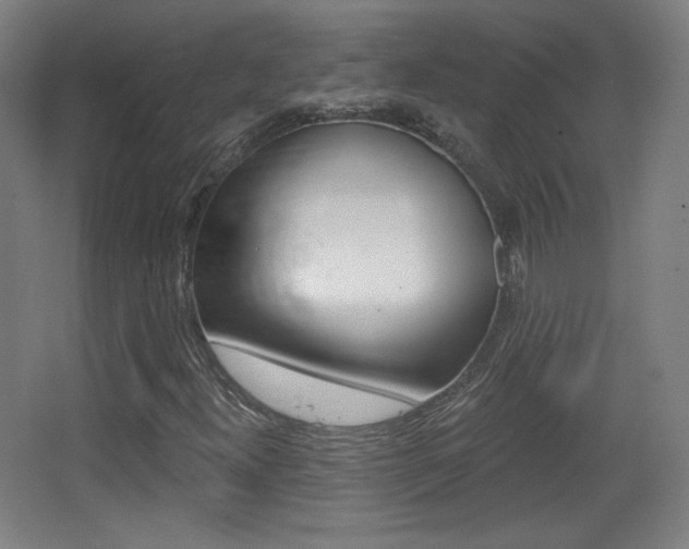 X0000068261300200604210904