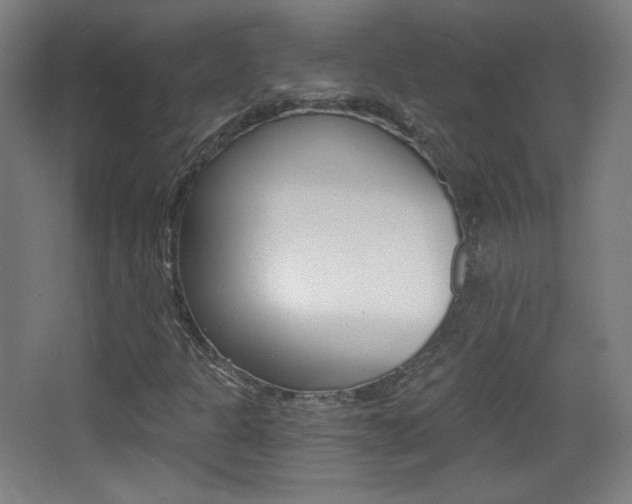 X0000068261301200604210904