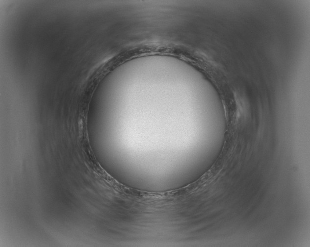 X0000068261302200604210904
